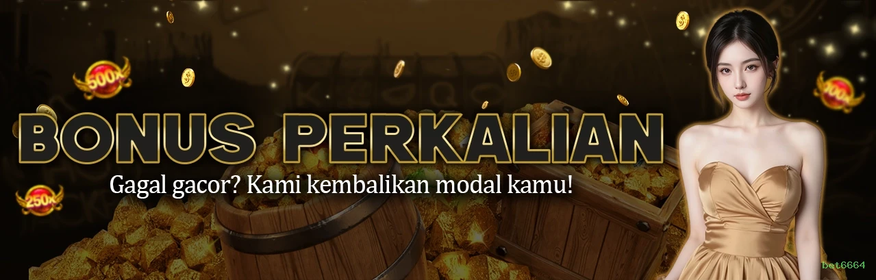 VIP bet6664